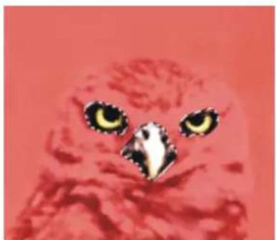 COREL Painter 2019 - Combinaison de sélections lors de l'enregistrement ou du chargement de canaux alpha - 2