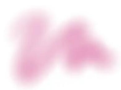 COREL Painter 2019 - PEINTURE - Aérographes - 2