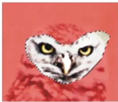 COREL Painter 2019 - Combinaison de sélections lors de l'enregistrement ou du chargement de canaux alpha - 5