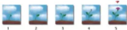 COREL Painter 2019 - Panneau Séquences d'animation - 1