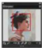 COREL Painter 2019 - Navigation dans les images et affichage des informations sur les images - 2