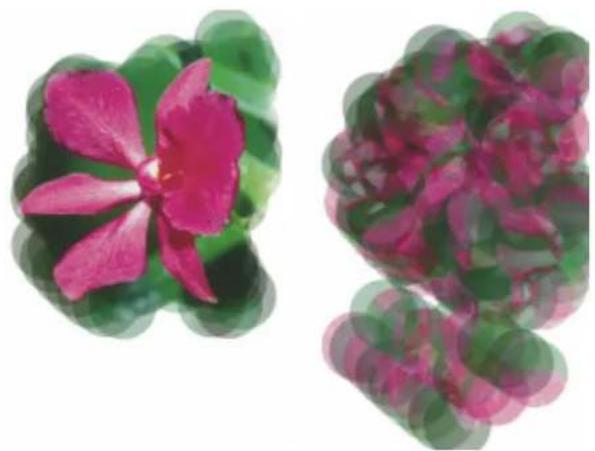 COREL Painter 2019 - Duplication aléatoire - 1