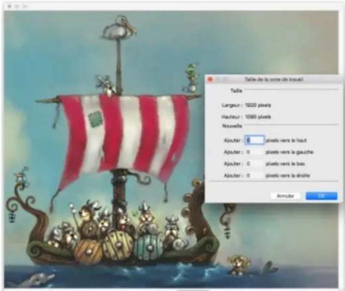 COREL Painter 2019 - Redimensionnement des images et de la zone de travail - 2