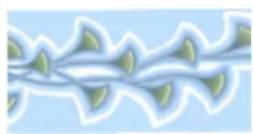 COREL Painter 2019 - Type de motif peint Exemple - 1