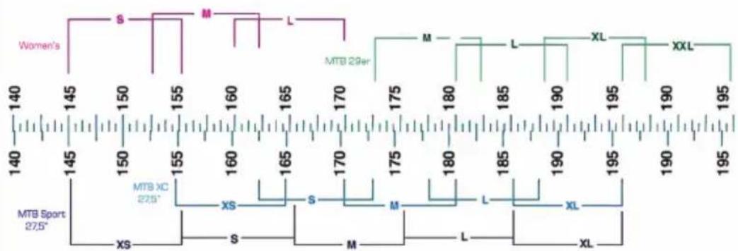 Monty KY39 - CHOIX DE LA TAILLE CORRECTE - 2
