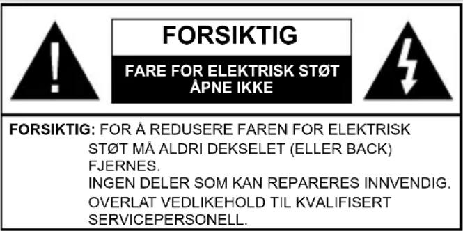 TOSHIBA 49L3763 - Sikkerhetsinformasjon - 1