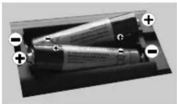 OCEANIC OCEALED32DVD16B3 - Inserting the Batteries into the Remote - 1