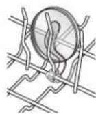 MAYTAG MDB4949SDWH - Attaches pour tasses - 1