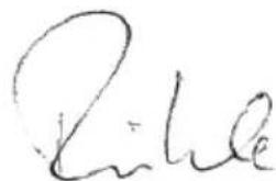 Flex LE 910 125 - CE-Konformität - 1