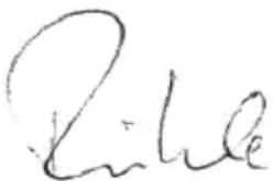 Flex LE 910 125 - CE -Försäkran om överensstämmelse - 1