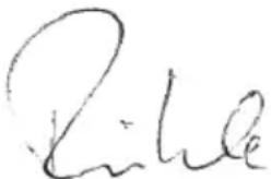 Flex LE 910 125 - Garanzia - 1