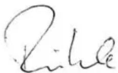 Flex L 3709115 - Conformità (C) - 1