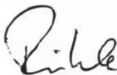 Flex L 3709115 - 11g:11 100 - 1