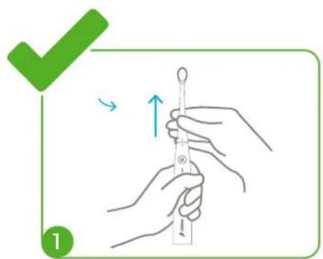 Kolibree Bluetooth - Cleaning brushes - 1