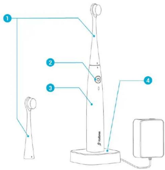 Kolibree Bluetooth - Description - 1