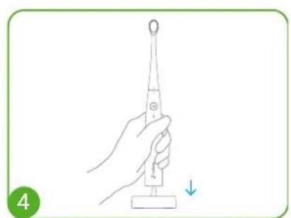 Kolibree Bluetooth - Cleaning brushes - 4