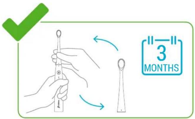 Kolibree Bluetooth - Changing the brush heads - 2