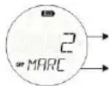 ZEBRA T8 - Doğrudan Çağrı Ayarı - 1