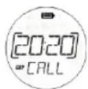 ZEBRA T8 - Herkese/Doğrudan Çağrı Ayarı - 2