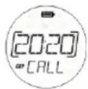 ZEBRA T8 - Selezione di una chiamata generale o diretta - 2