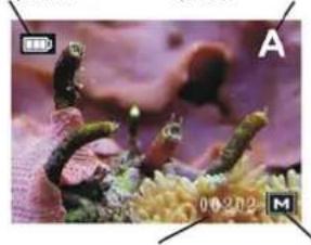 Reflecta DigiEndoscope - Informationen auf dem Bildschirm - 1