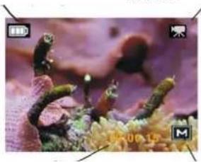 Reflecta DigiEndoscope - Display Informatie - 2