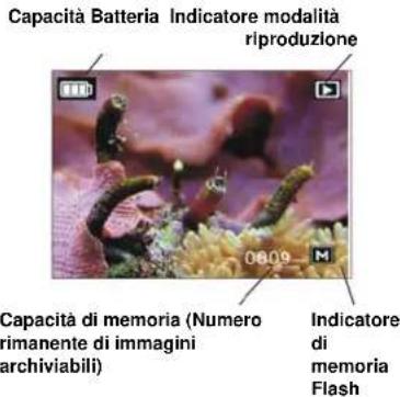 Reflecta DigiEndoscope - Funzione di registrazione - 3