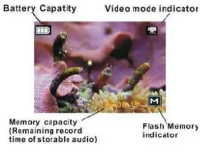 Reflecta DigiEndoscope - CAMERA HEAD AND SEESNAKE - 5