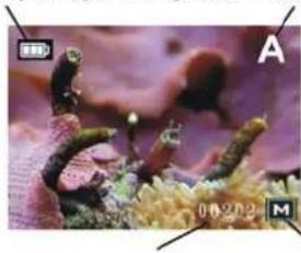 Reflecta DigiEndoscope - Display Informatie - 1