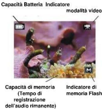 Reflecta DigiEndoscope - Funzione di registrazione - 2
