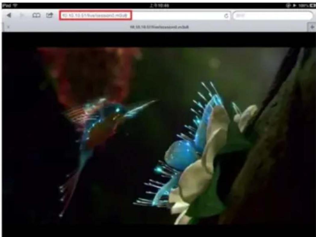 StarTech.com PEXHDCAP60L - AppServ各種のウエブサイバーを利用したHLSスロームビデ才 - 3