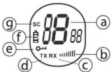 TOPCOM Twintalker 1302 Duo - INFORMAÇÃO APresentada NO VISOR LCD - 1