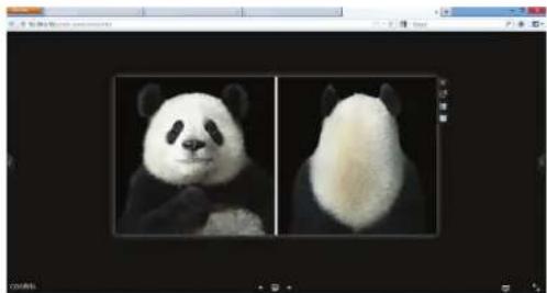 D-LINK DNS340L - Affichage des images dans Cooliris - 6