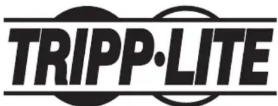 Tripp Lite U280007CQCST - Información de Cumplimiento con WEEE para Clientes y Recicladores de Tripp Lite (Unión Europea) - 2