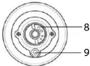 QUIGG GTSPM04 - Pfeffer - 2
