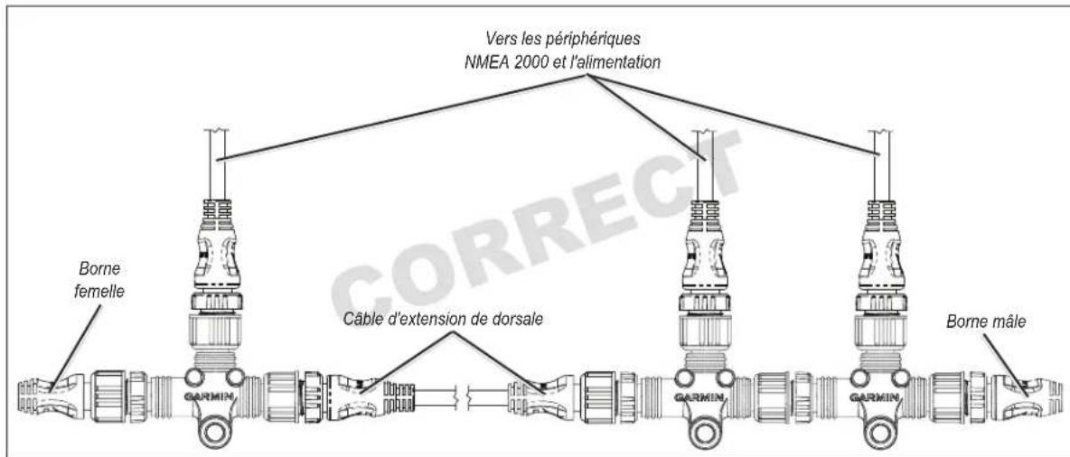 GARMIN GPSMAP 8422 MFD - Installation de la dorsale linéaire - 1