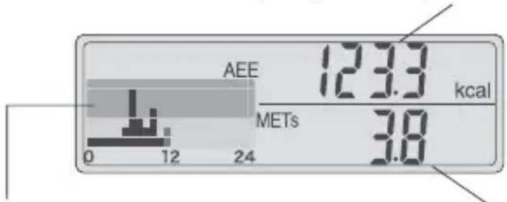 AEE 123.3 kcal METs 3.8 0 12 24