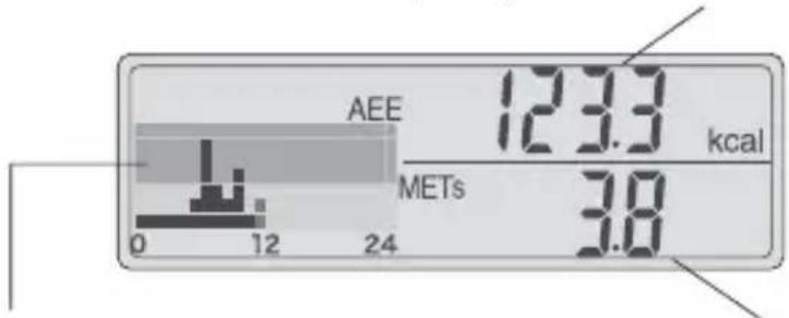AEE 123.3 kcal METs 3.8 0 12 24