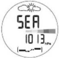 OREGON SCIENTIFIC RA103 - VISA HÖJDMÄTARENS DISPLAYER - 10