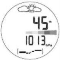 OREGON SCIENTIFIC RA103 - VIEW ALTITUDE DISPLAYS - 2