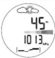OREGON SCIENTIFIC RA103 - VERSCHIEDENE ARTEN DER HÖHENANZEIGE - 2