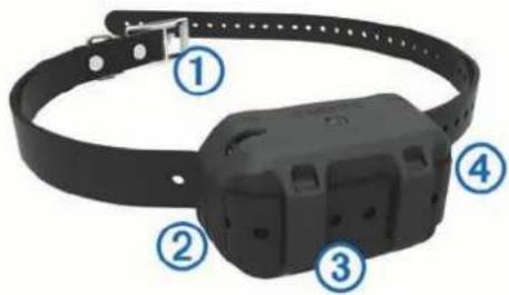 GARMIN Sport Pro - Fixation de l'appareil pour collier de chien à la sangle du collier - 1
