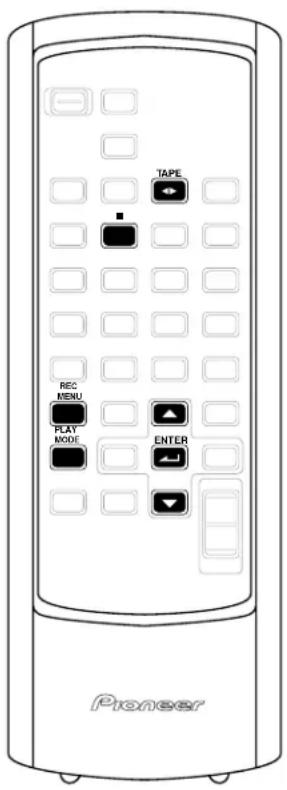 PIONEER XNM1 - Press ENTER - 2