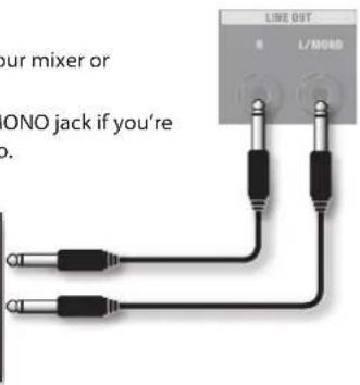 ROLAND AC40 - LINE OUT jacks - 2