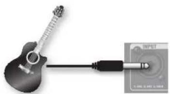 ROLAND AC40 - Conector INPUT - 1