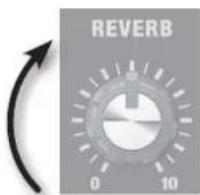 ROLAND AC40 - Utilizzo del riverbero - 1