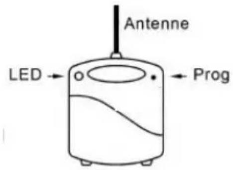 EBODE RMML - DESCRIPTION - 1