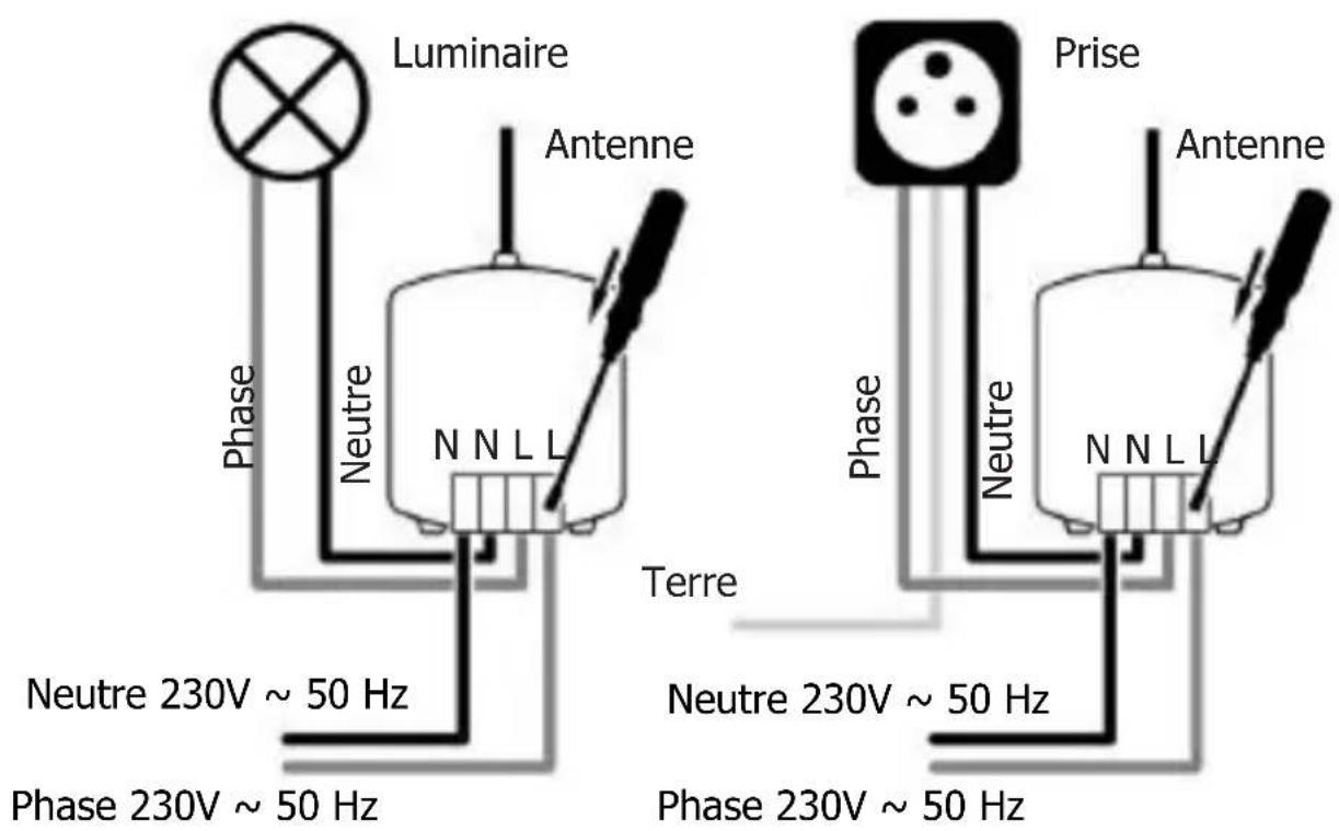 EBODE PMML - RMML Micro-Récepteur - 1
