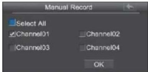 EBODE IPV4NVR - Manuell Record - 2