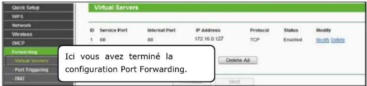 EBODE IPV4NVR - L'accès au NVR dans WAN - 4